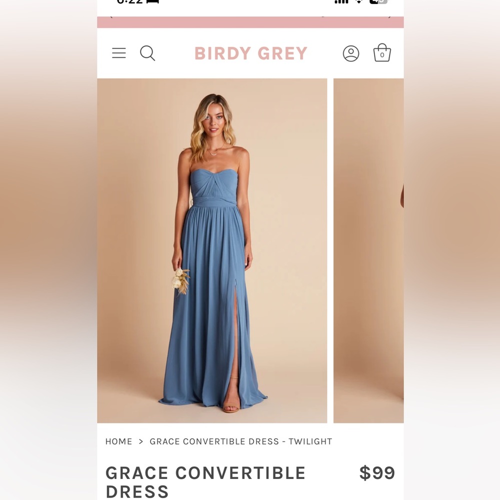 NEW Birdy Grey GRACE CONVERTIBLE DRESS CHIFFON TWILIGHT Size Small